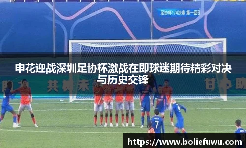 bsports必一体育